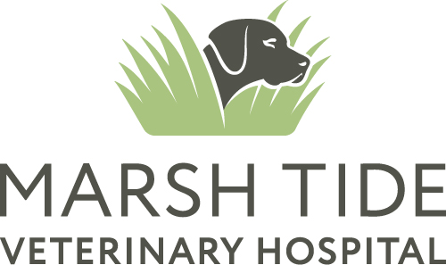 marsh-tide-stacked-logo-full-color-rgb-500px@300ppi
